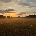 In Aan De Rand Het Bos Feriehus *