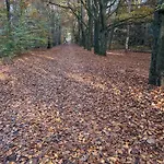 In Aan De Rand Het Bos Feriehus