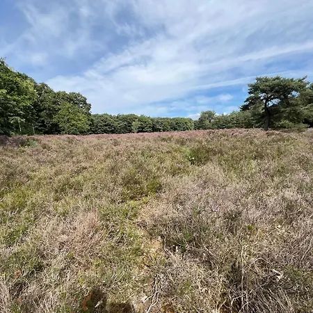 Casa de Férias In Aan De Rand Het Bos Lunteren