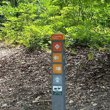 Vakantiehuis In Aan De Rand Het Bos *