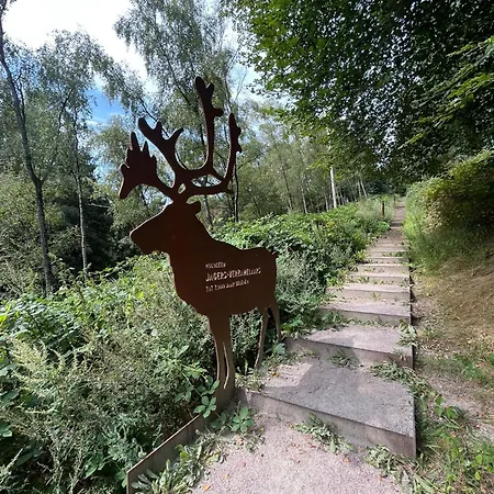 In Aan De Rand Het Bos * Lunteren