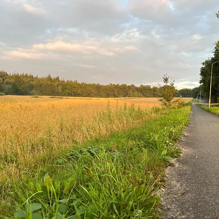 Vakantiehuis In Aan De Rand Het Bos Lunteren