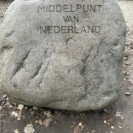 In Aan De Rand Het Bos