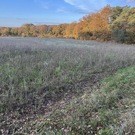 In Aan De Rand Het Bos Semesterbostad *