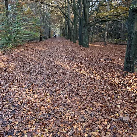 In Aan De Rand Het Bos Vakantiehuis