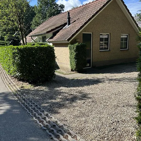 In Aan De Rand Het Bos *