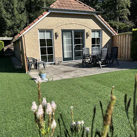 In Aan De Rand Het Bos Ferienhaus