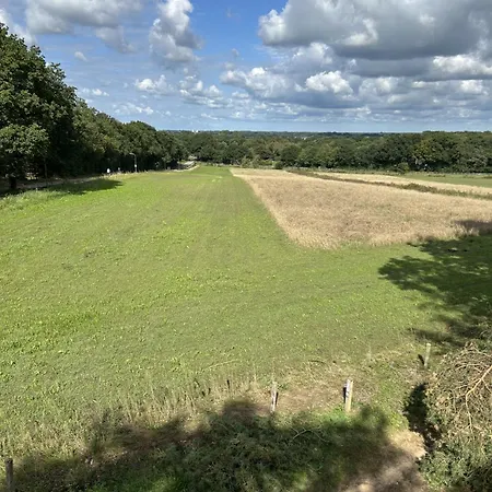 In Aan De Rand Het Bos *