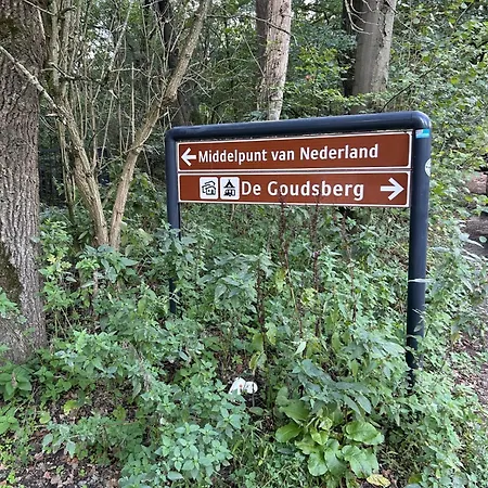 In Aan De Rand Het Bos