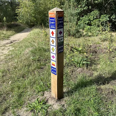 In Aan De Rand Het Bos