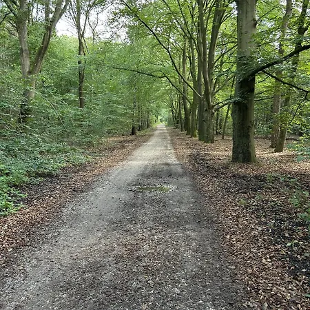 Ferienhaus In Aan De Rand Het Bos Lunteren
