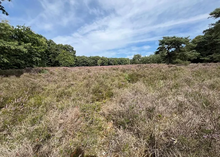 Semesterbostad In Aan De Rand Het Bos Lunteren