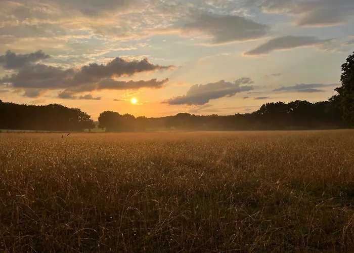 In Aan De Rand Het Bos Semesterbostad *