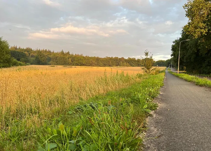 Semesterbostad In Aan De Rand Het Bos Lunteren