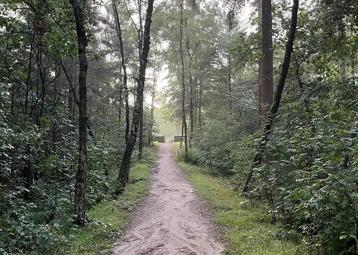 In Aan De Rand Het Bos