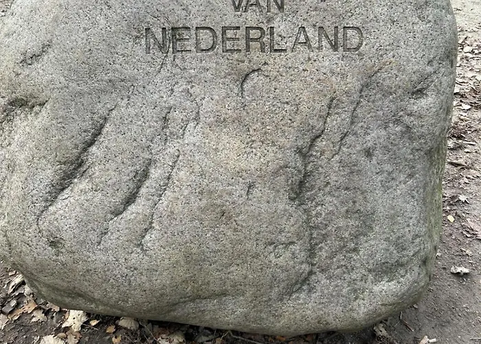 In Aan De Rand Het Bos