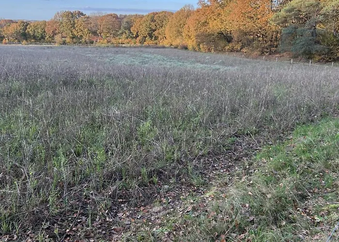 In Aan De Rand Het Bos Semesterbostad *