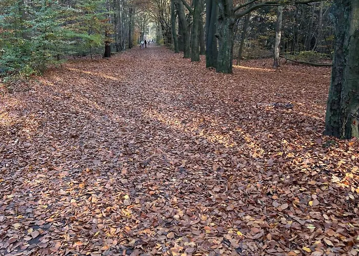 In Aan De Rand Het Bos Semesterbostad