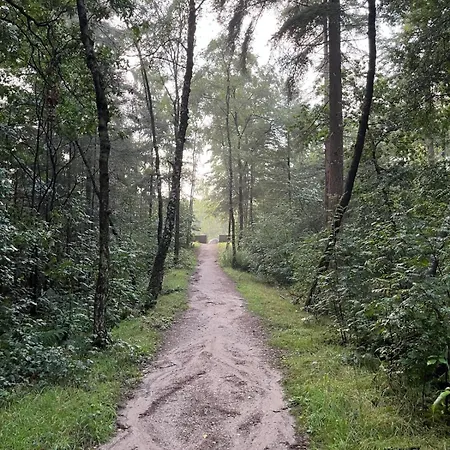In Aan De Rand Het Bos